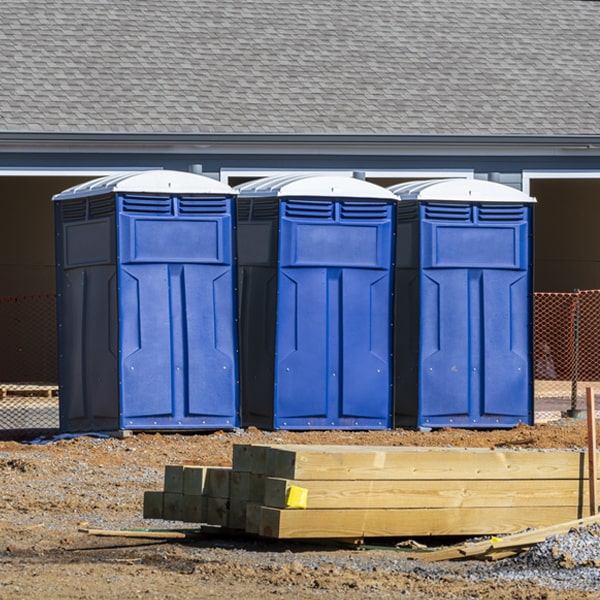 are there any restrictions on what items can be disposed of in the porta potties in Hornellsville